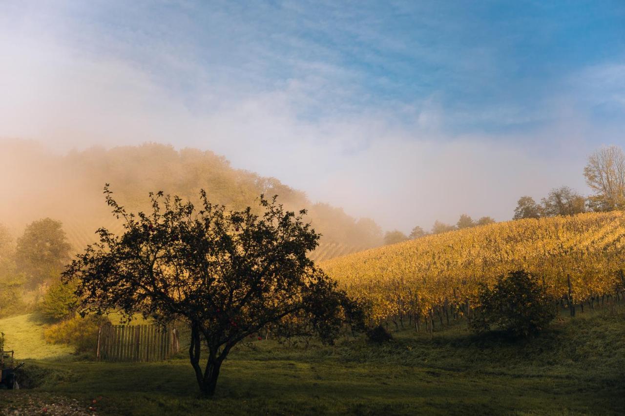 Luxury Vineyard Resort Chateau Ramsak มาริบอร์ ภายนอก รูปภาพ
