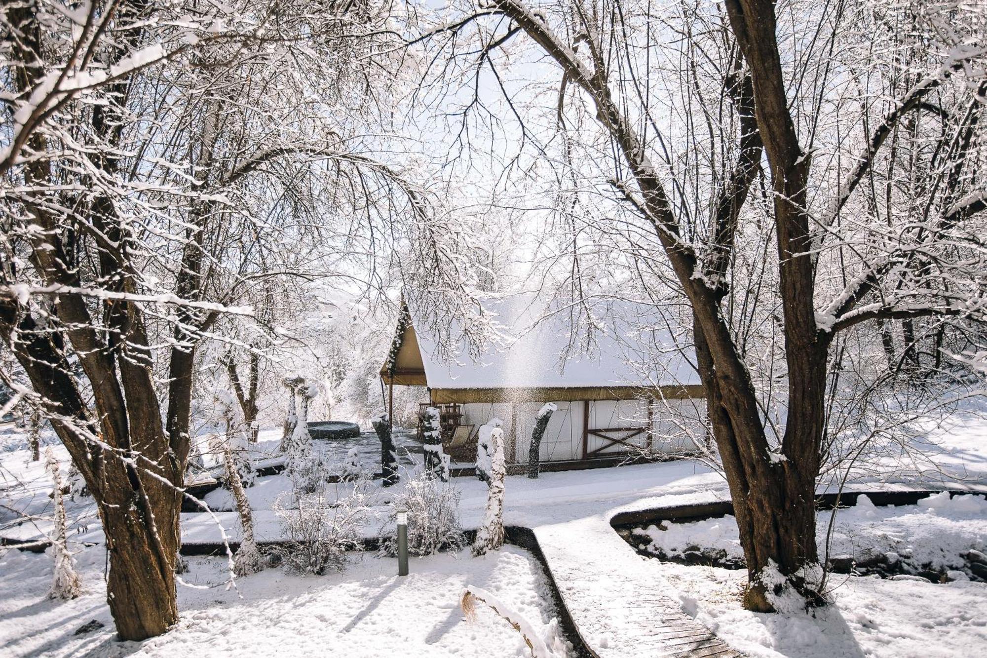 Luxury Vineyard Resort Chateau Ramsak มาริบอร์ ภายนอก รูปภาพ
